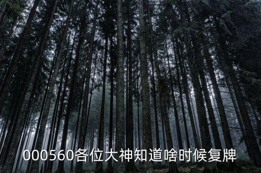 000560各位大神知道啥時候復牌