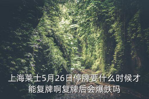 上海萊士5月26日停牌要什么時(shí)候才能復(fù)牌啊復(fù)牌后會(huì)爆跌嗎