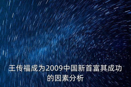 王傳福成為2009中國新首富其成功的因素分析