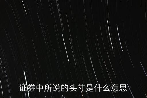 股票頭寸是什么意思，證劵中所說的頭寸是什么意思