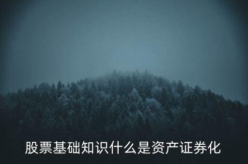 股票基礎(chǔ)知識(shí)什么是資產(chǎn)證券化