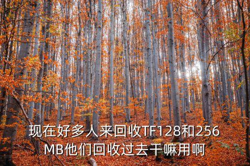 現(xiàn)在好多人來(lái)回收TF128和256MB他們回收過(guò)去干嘛用啊