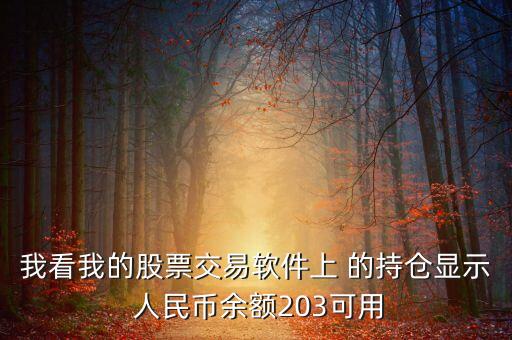 我看我的股票交易軟件上 的持倉顯示 人民幣余額203可用