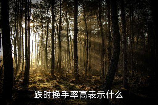 下跌換手率高說(shuō)明什么，下跌途中高換手率說(shuō)明什么