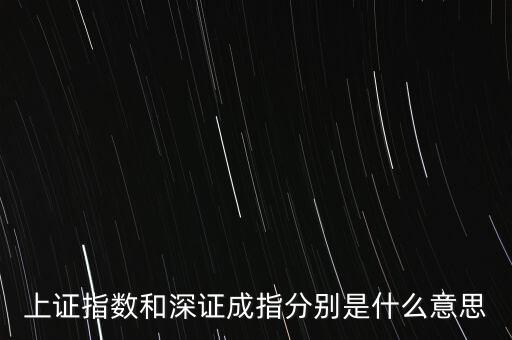 上證指數(shù)和深證成指分別是什么意思