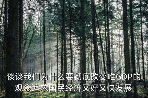 談談我們?yōu)槭裁匆獜氐赘淖兾℅DP的觀念追求國民經濟又好又快發(fā)展