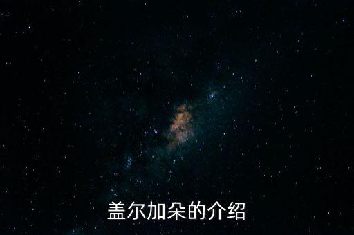 蓋爾加朵的介紹