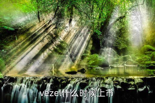 維珍妮集團(tuán)什么時(shí)候上市，vezel什么時(shí)候上市