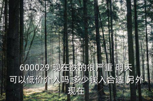 粵傳媒今天什么跌這么厲害，600029 現(xiàn)在跌的很嚴(yán)重 明天可以低價介入嗎 多少錢入合適 另外現(xiàn)在