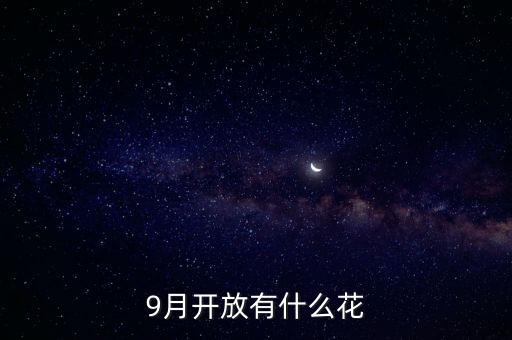 9月開(kāi)放有什么花