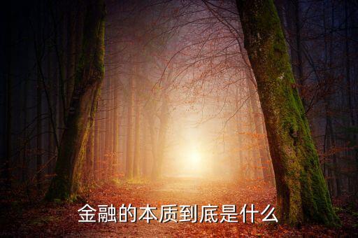 金融的本質(zhì)到底是什么