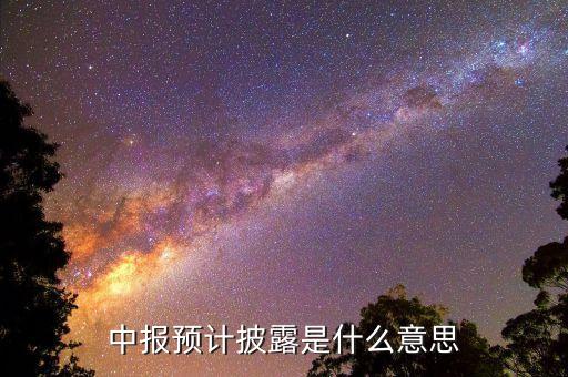 預(yù)先披露是什么意思，中報(bào)預(yù)計(jì)披露是什么意思