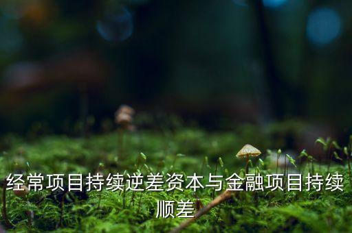 經常項目持續(xù)逆差資本與金融項目持續(xù)順差