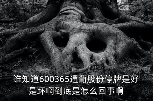 誰知道600365通葡股份停牌是好是壞啊到底是怎么回事啊