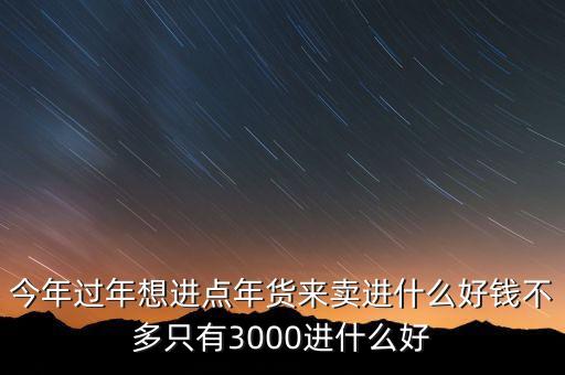 今年過年想進點年貨來賣進什么好錢不多只有3000進什么好