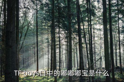 TF boys口中的嘟嘟嘟寶是什么