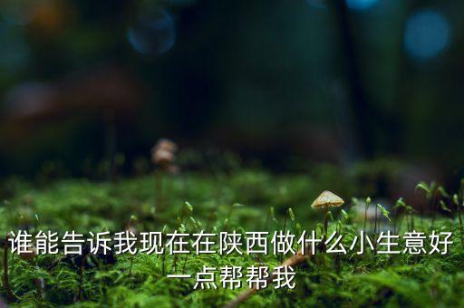 陜北做什么生意好，誰(shuí)能告訴我現(xiàn)在在陜西做什么小生意好一點(diǎn)幫幫我