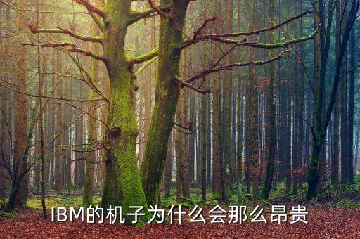 IBM的機子為什么會那么昂貴