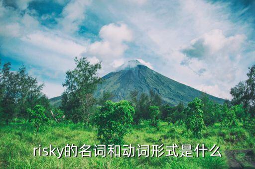 risky的名詞和動詞形式是什么