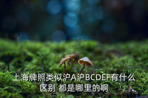 上海牌照類似滬A滬BCDEF有什么區(qū)別 都是哪里的啊