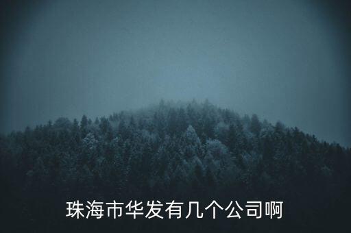 珠海市華發(fā)有幾個(gè)公司啊