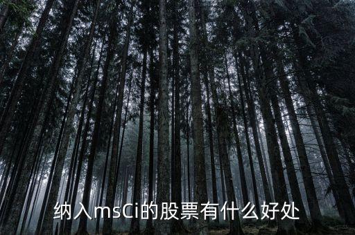 msci什么意思，MSCI 指數(shù)是什么