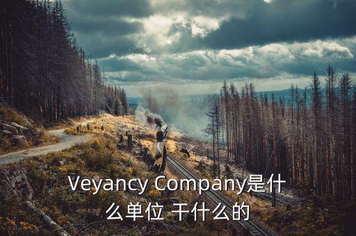 時(shí)代沃頓科技有限公司是什么單位，Veyancy Company是什么單位 干什么的