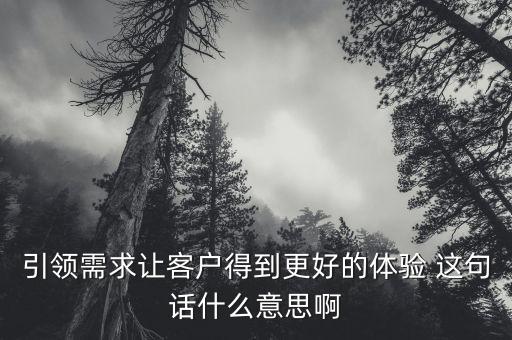 什么是引領(lǐng)需求，引領(lǐng)需求讓客戶得到更好的體驗 這句話什么意思啊