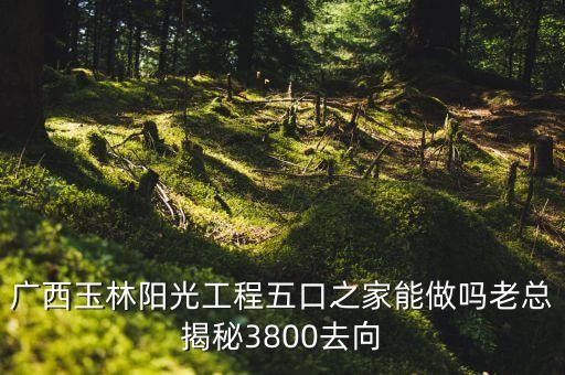 廣西玉林陽光工程五口之家能做嗎老總揭秘3800去向