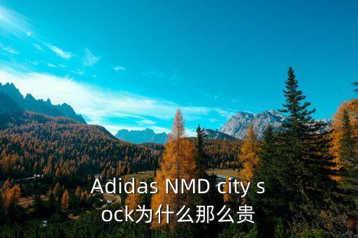 Adidas NMD city sock為什么那么貴