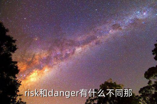 risk和danger有什么不同那