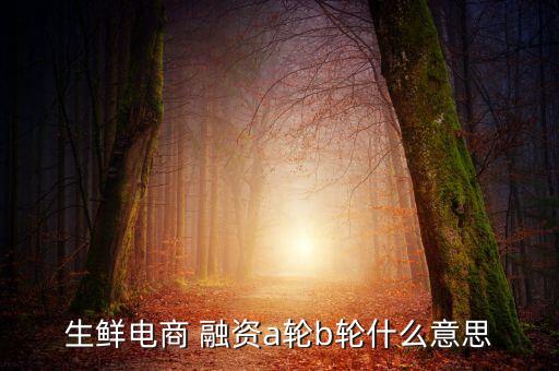 生鮮電商 融資a輪b輪什么意思