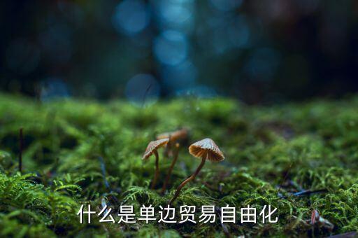 什么是單邊貿(mào)易，什么是單邊貿(mào)易自由化