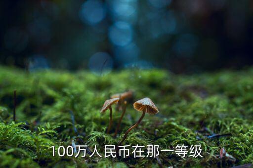 100萬人民幣在那一等級