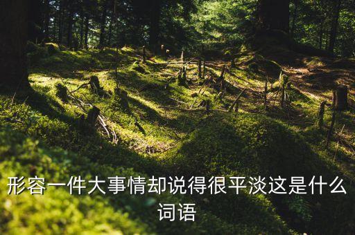 形容一件大事情卻說(shuō)得很平淡這是什么詞語(yǔ)