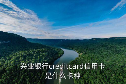 興業(yè)銀行creditcard信用卡是什么卡種