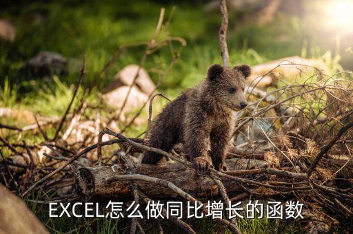 EXCEL怎么做同比增長(zhǎng)的函數(shù)