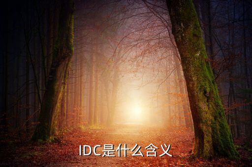 IDC是什么含義