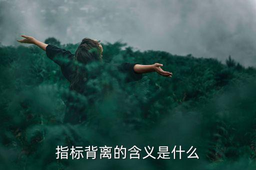 指標(biāo)背離的含義是什么