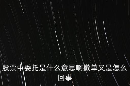 股票的委托是什么意思，股票中的委托是什么個概念