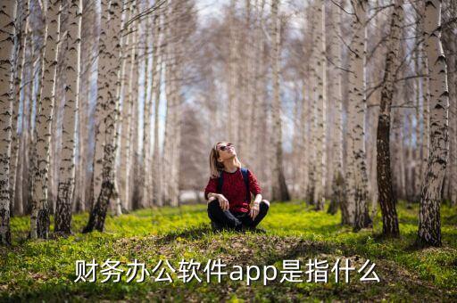 財務(wù)辦公軟件app是指什么