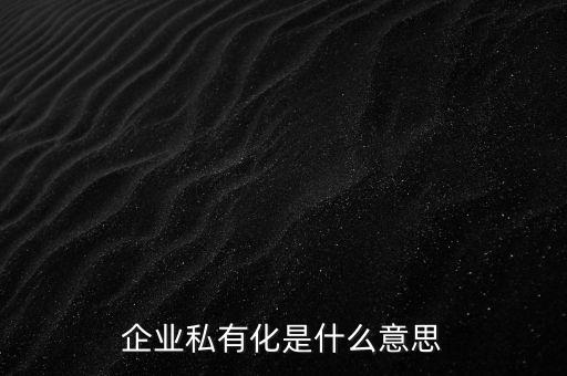 企業(yè)私有化是什么意思