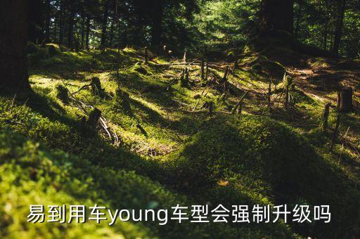 易到用車young車型會強(qiáng)制升級嗎