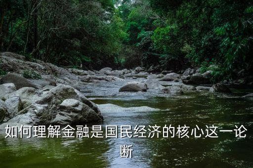 如何理解金融是國(guó)民經(jīng)濟(jì)的核心這一論斷