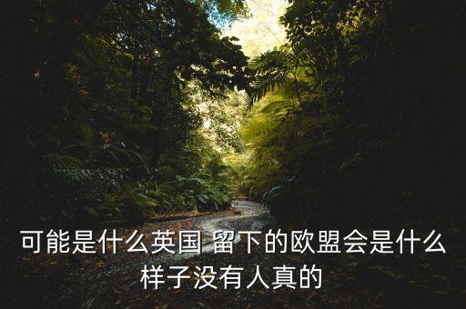 可能是什么英國(guó) 留下的歐盟會(huì)是什么樣子沒(méi)有人真的