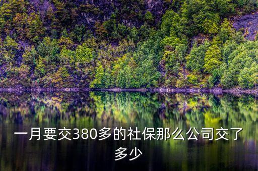 2015常熟每個(gè)月交380交什么了，一月要交380多的社保那么公司交了多少