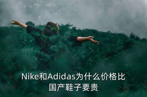 Nike和Adidas為什么價格比國產(chǎn)鞋子要貴