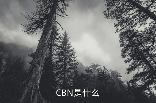 CBN是什么