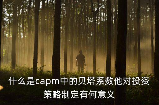 什么是capm中的貝塔系數(shù)他對投資策略制定有何意義