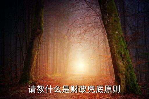 請教什么是財(cái)政兜底原則